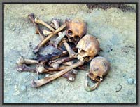 Черепа и крупные кости из обнаруженных в марте 2006 г. захоронений
